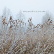 Whispers of Frost and Mist
